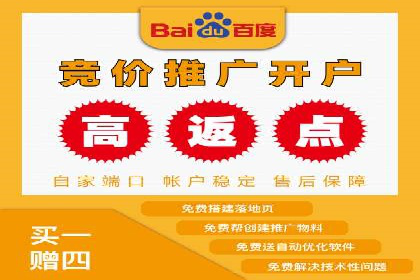 百度推广公司案例解析：如何利用大数据优化营销策略