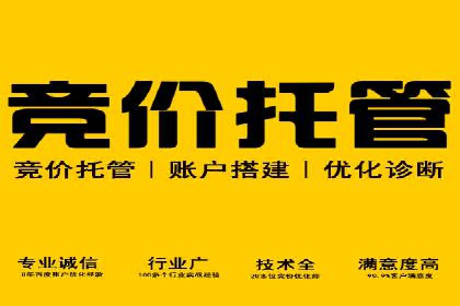 深度解析百度广告竞价：成功案例分享